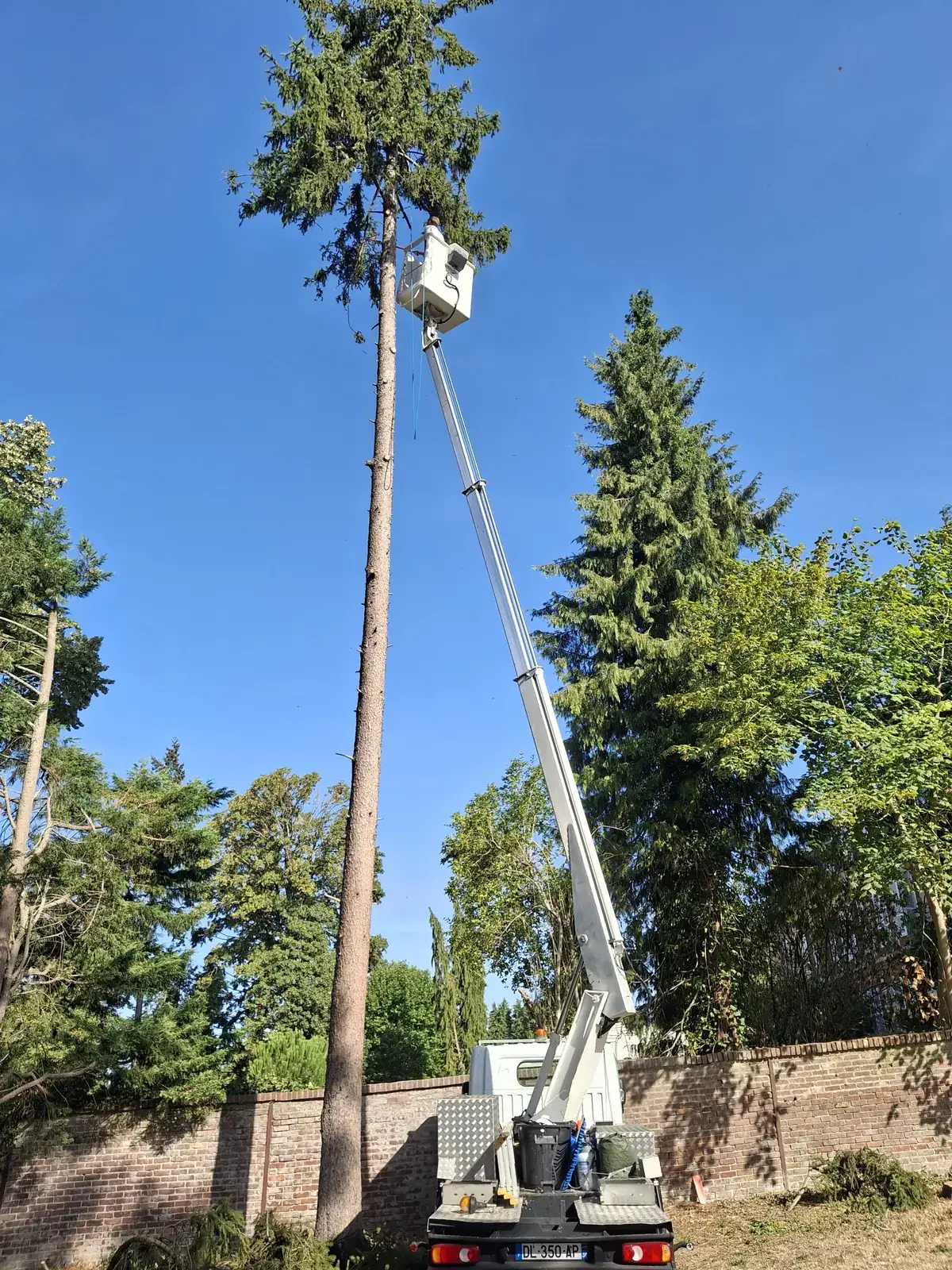 Démontage d'un arbre à la nacelle, tronc écimé — Le Carré Vert (37)
