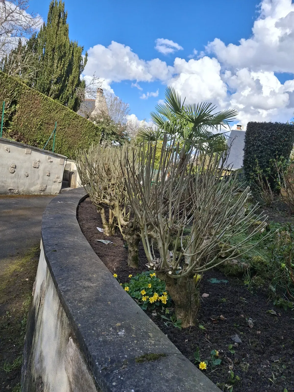 Muret de pierre courbe bordant un massif taillé en fin d'hiver — Le Carré Vert, Indre-et-Loire (37)