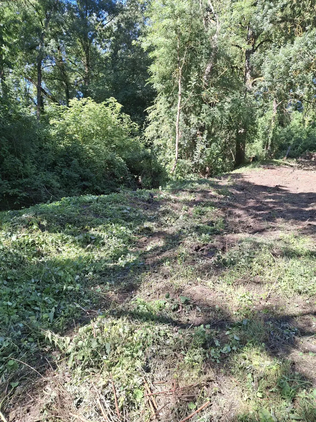 Terrain débroussaillé et remis au propre — Le Carré Vert, Indre-et-Loire (37)