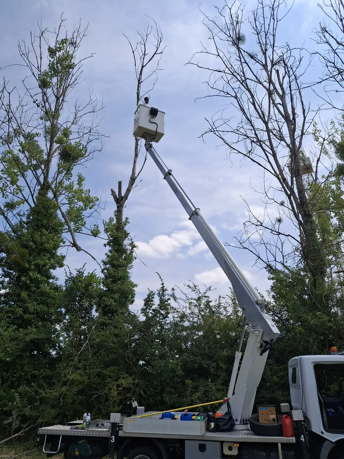 Élagueur en nacelle dans le houppier d'un arbre — Le Carré Vert, Indre-et-Loire (37)