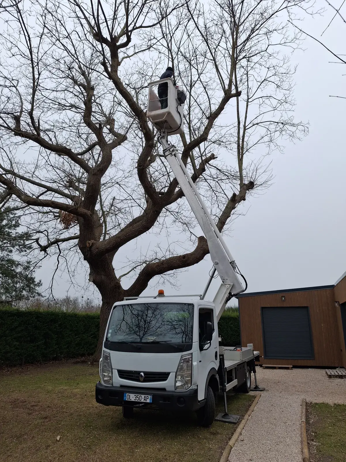 Élagage d'arbres têtards à la nacelle, camion en appui — Le Carré Vert, Indre-et-Loire