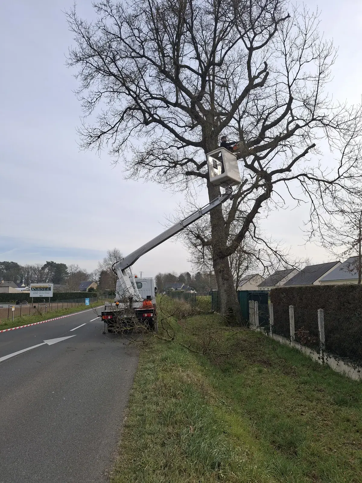 Le camion nacelle du Carré Vert au pied d'un arbre de grande hauteur (37)