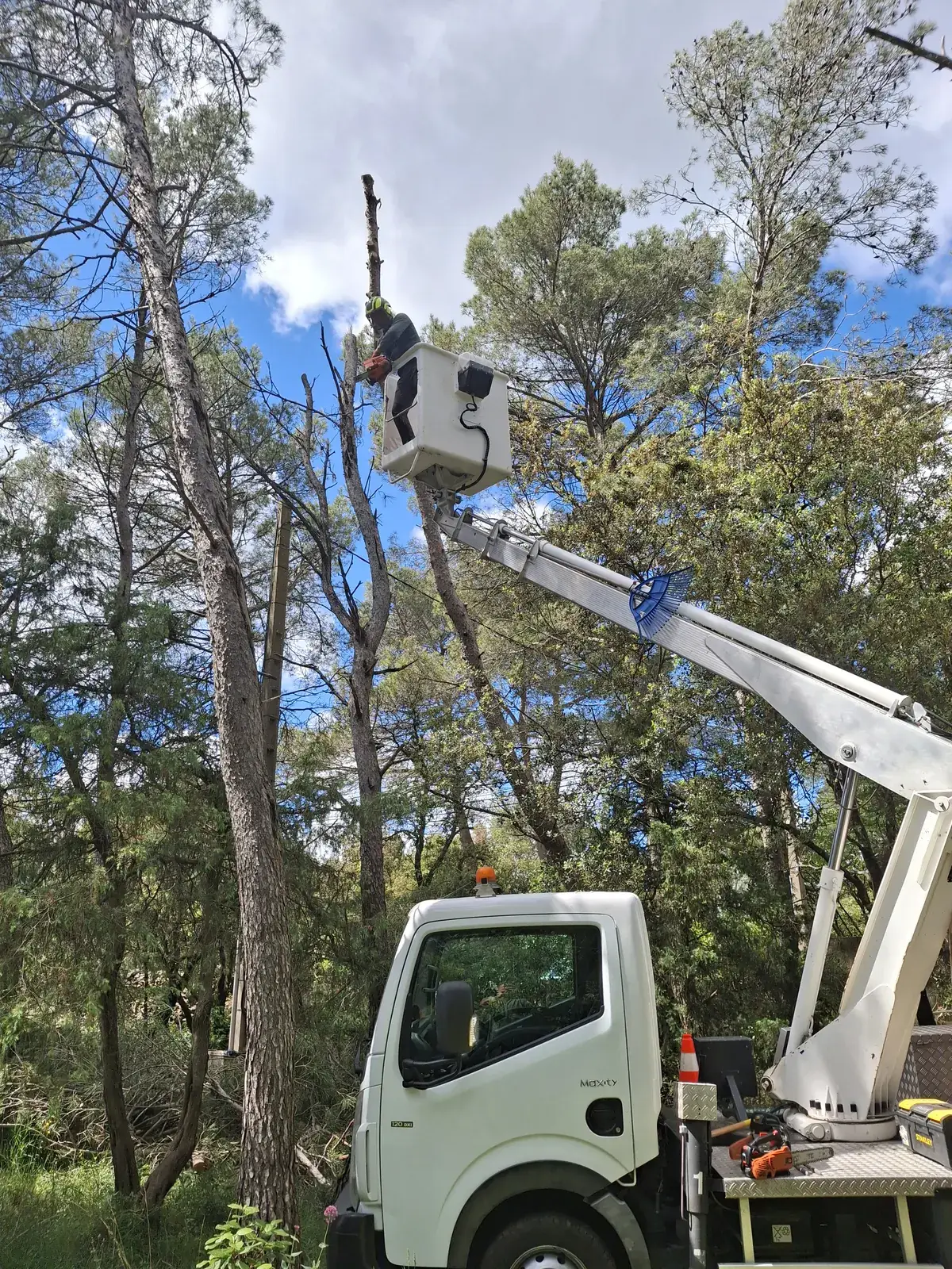 Démontage de branches à la nacelle entre les habitations — Le Carré Vert (37)