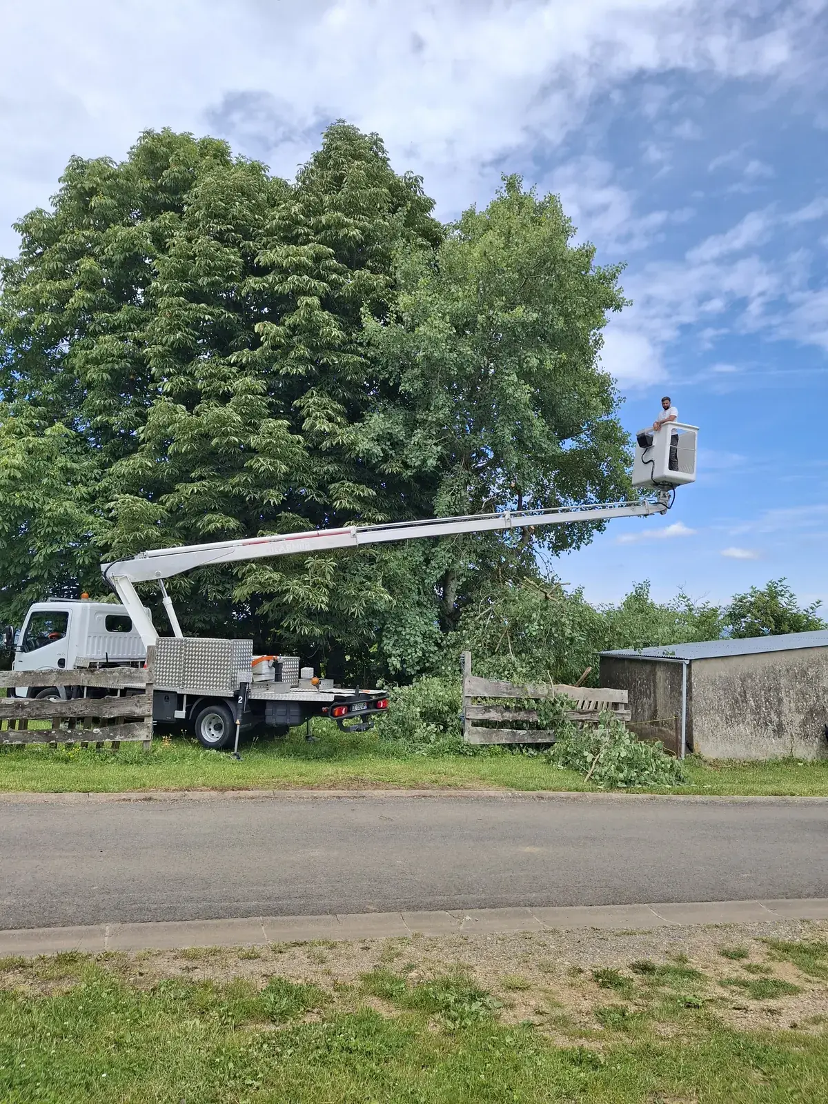 Élagage à la nacelle au-dessus d'un jardin — Le Carré Vert, Indre-et-Loire (37)