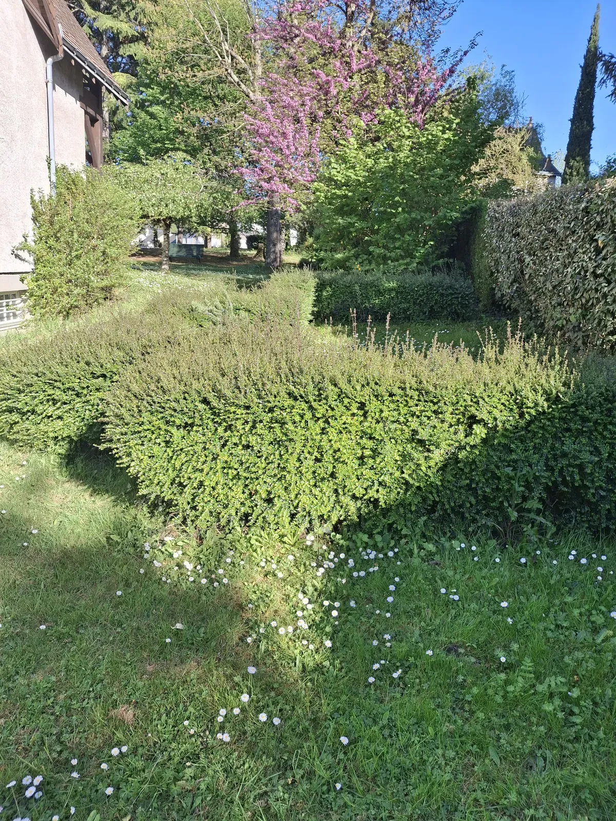 Remise en état d'une pelouse et de ses abords — Le Carré Vert, Indre-et-Loire