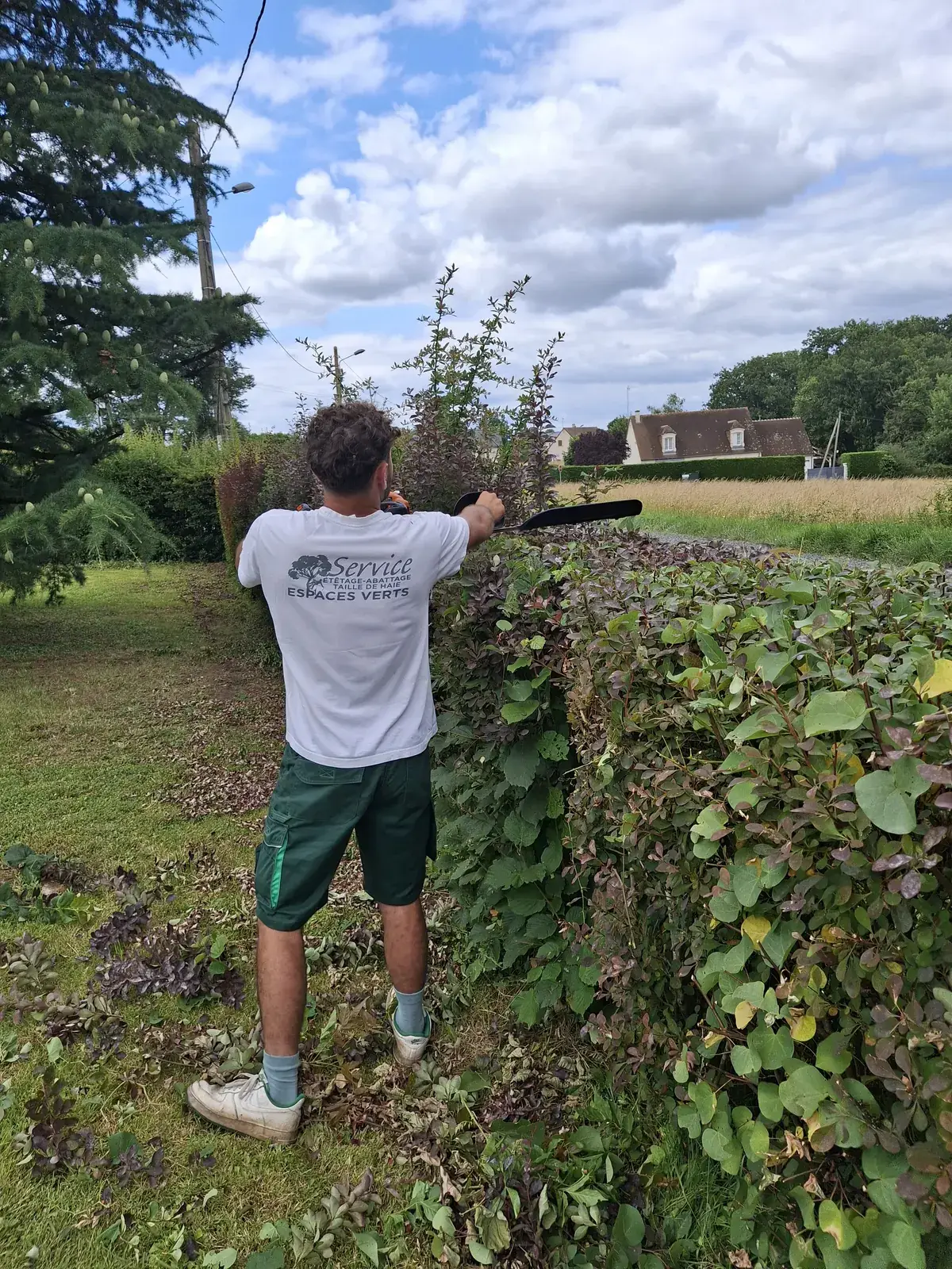 Taille d'une haie au taille-haie thermique — Le Carré Vert, Indre-et-Loire (37)