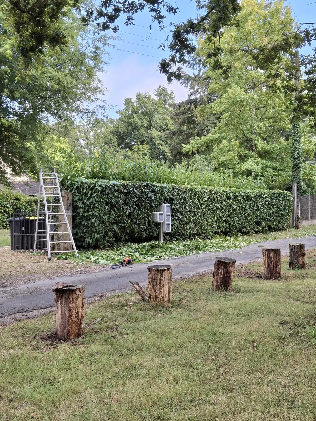 Haie taillée au cordeau le long d'une clôture — Le Carré Vert (37)