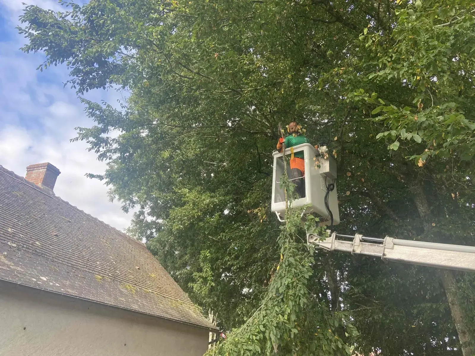 Taille d'un arbre à la nacelle au-dessus d'une toiture — Le Carré Vert, élagueur en Indre-et-Loire (37)